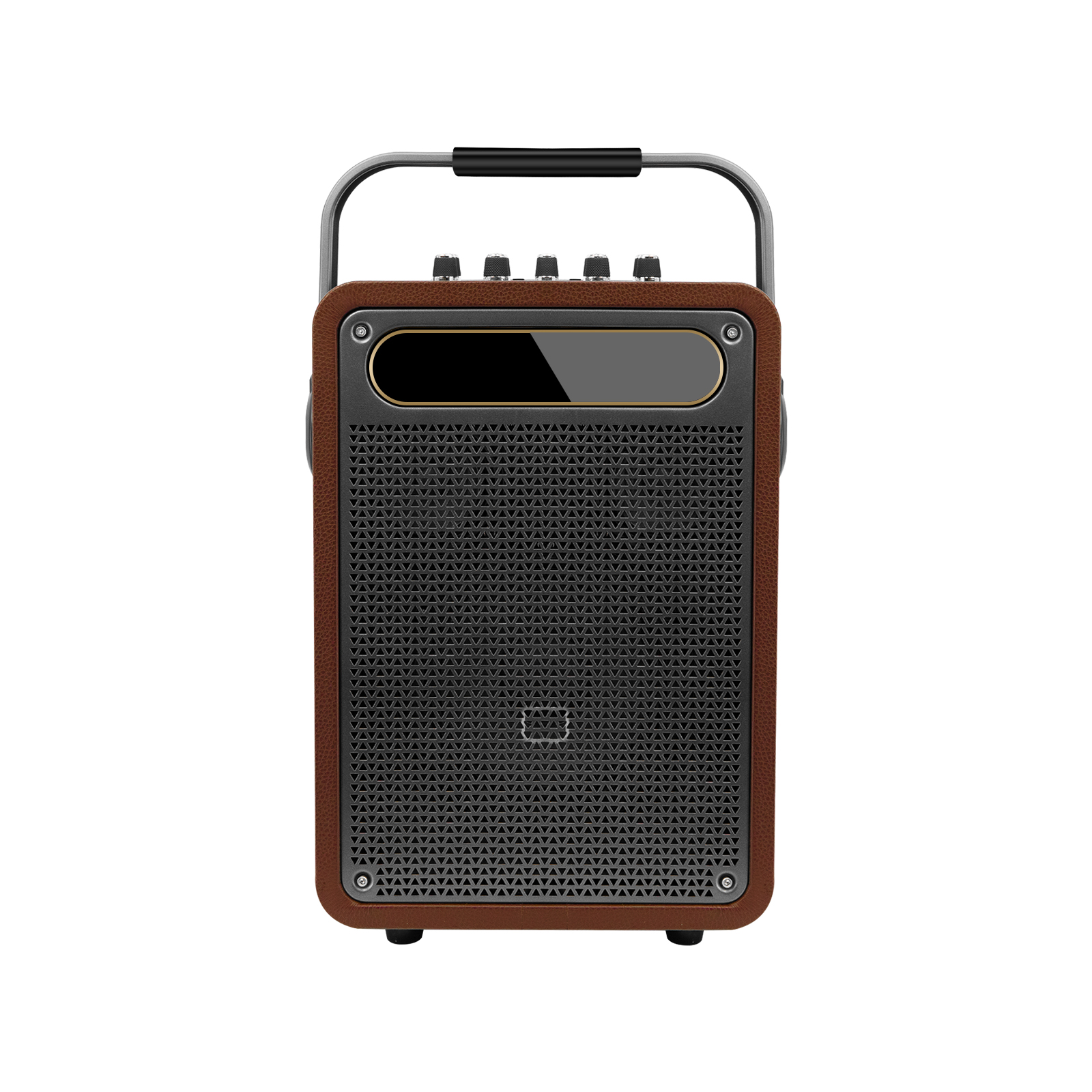 All-in-One Outdoor Karaoke Music Player