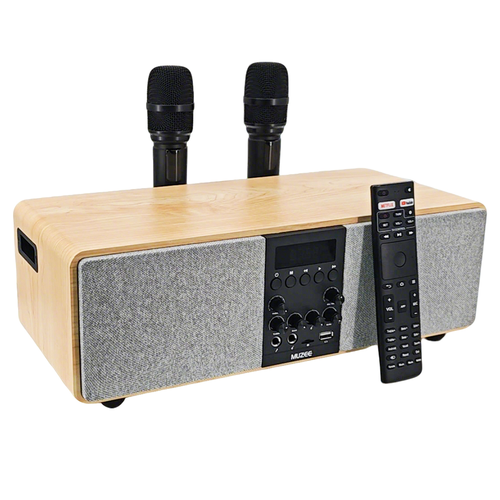 MUZEE M10 All-in-One Home Theater System